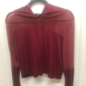 Cotton and Sheer Crop Top